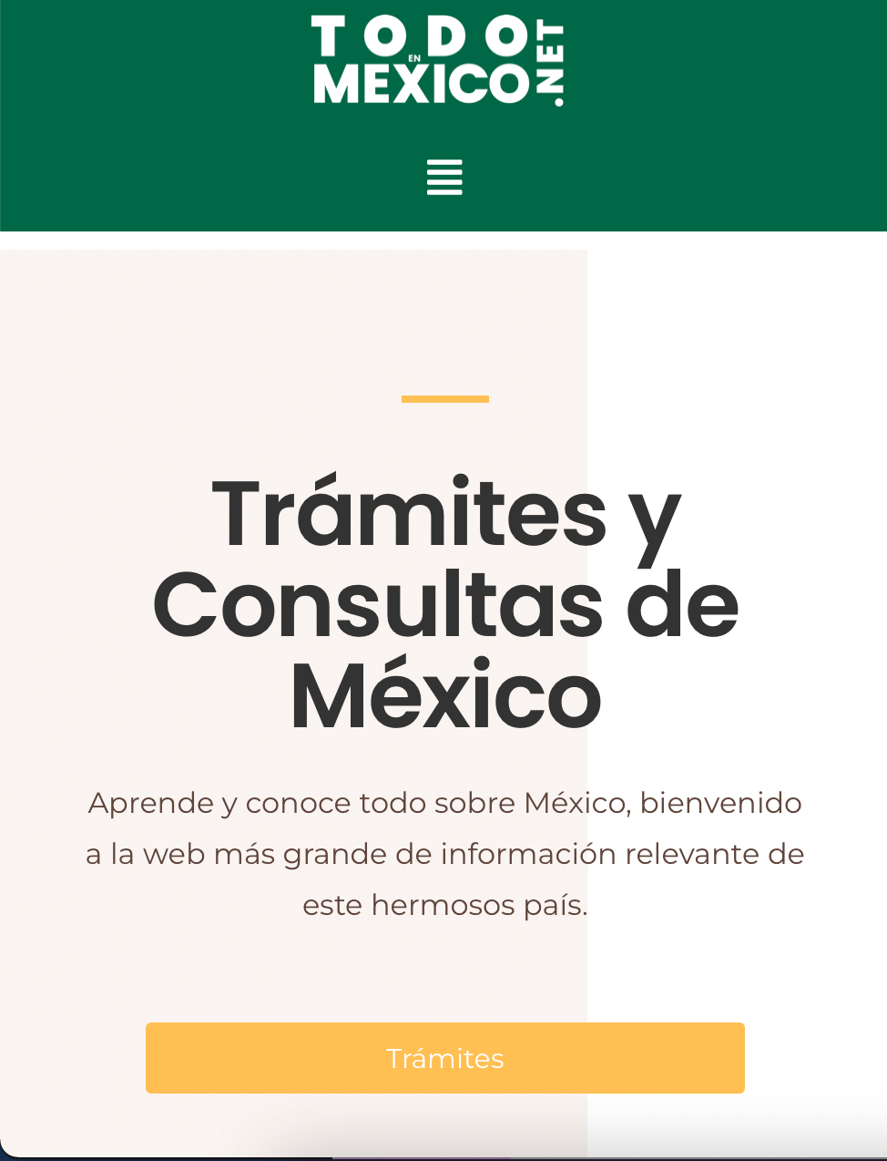 Todo En Mexico Web